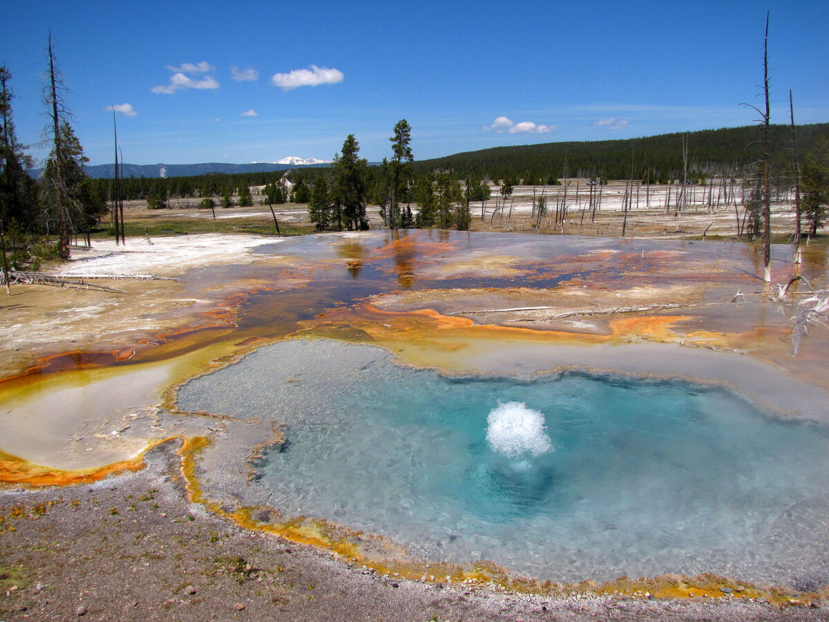 Take a closer look at the curious life of the Yellowstone Caldera