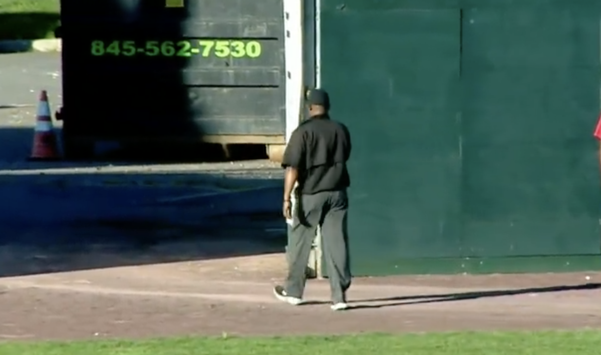 An umpire actually got ejected after a heated argument with a player in a Frontier League game