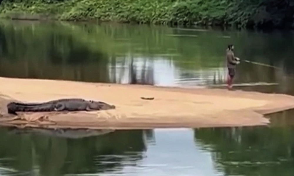 Expert defends ‘stupid’ man fishing close to crocodile