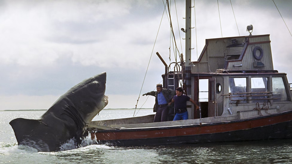 5 great shark movies, including Jaws and Finding Nemo