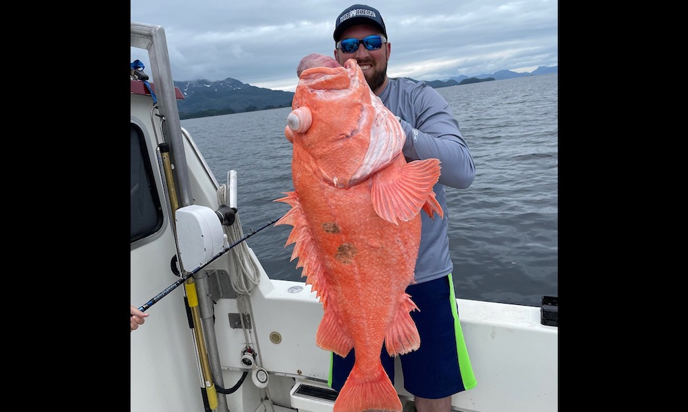 Fisherman pulls up record rockfish from 1,000 feet of water