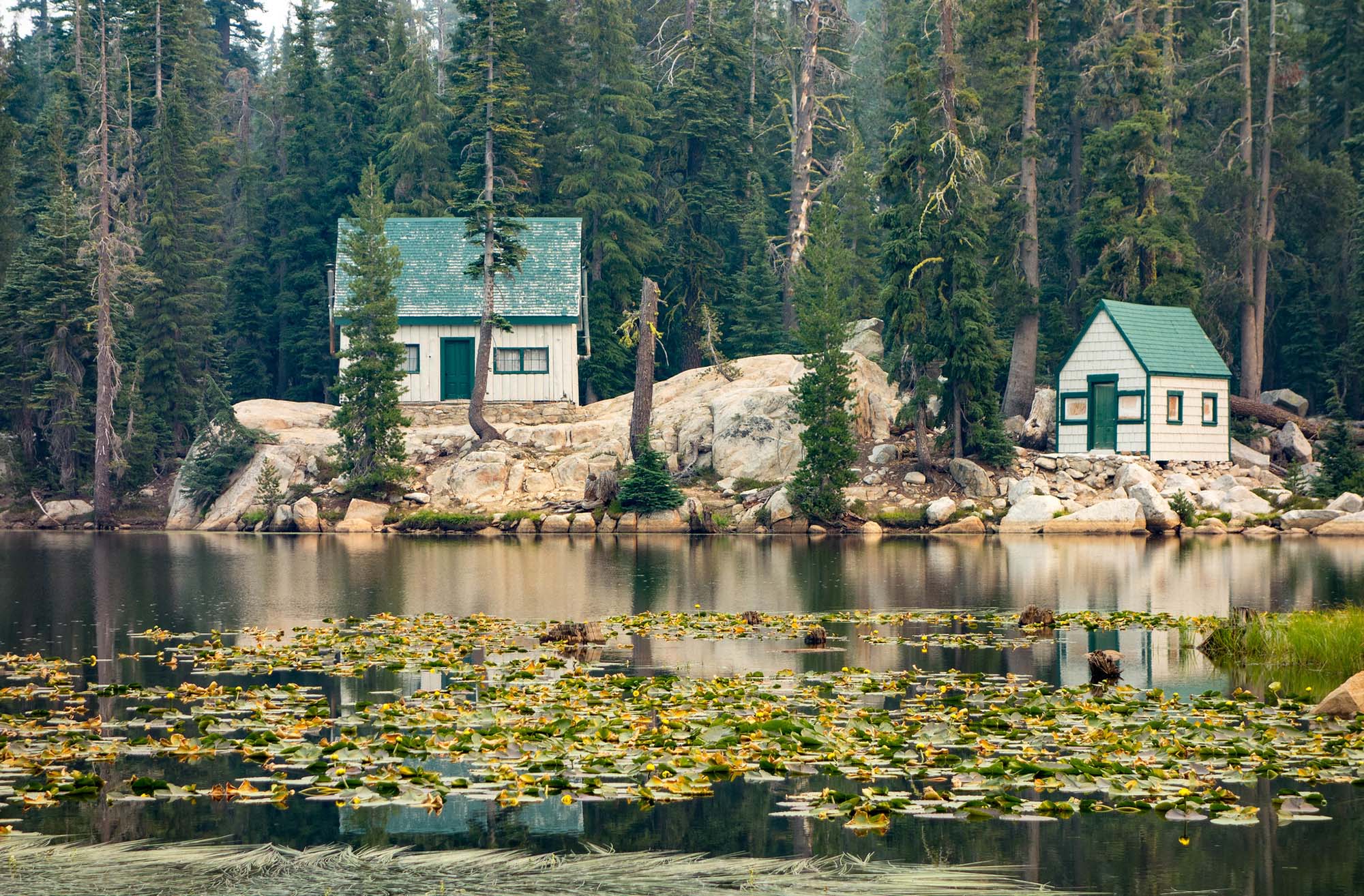 A lake with lilypads and two white cabins with green roofs on rocks overlooking it.