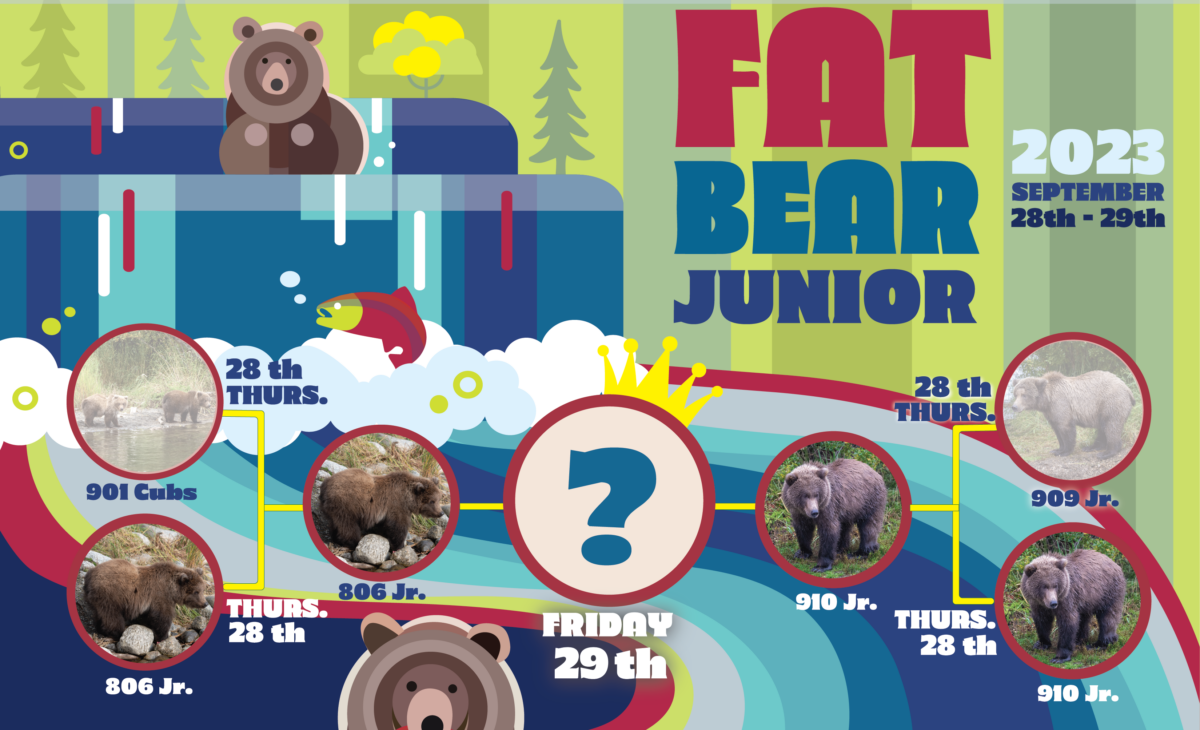 Say hello to the cubs competing in Fat Bear Junior 2023