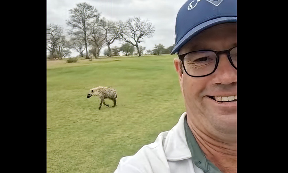 Watch: Hyena stalks golfer on ‘wildest course in the world’