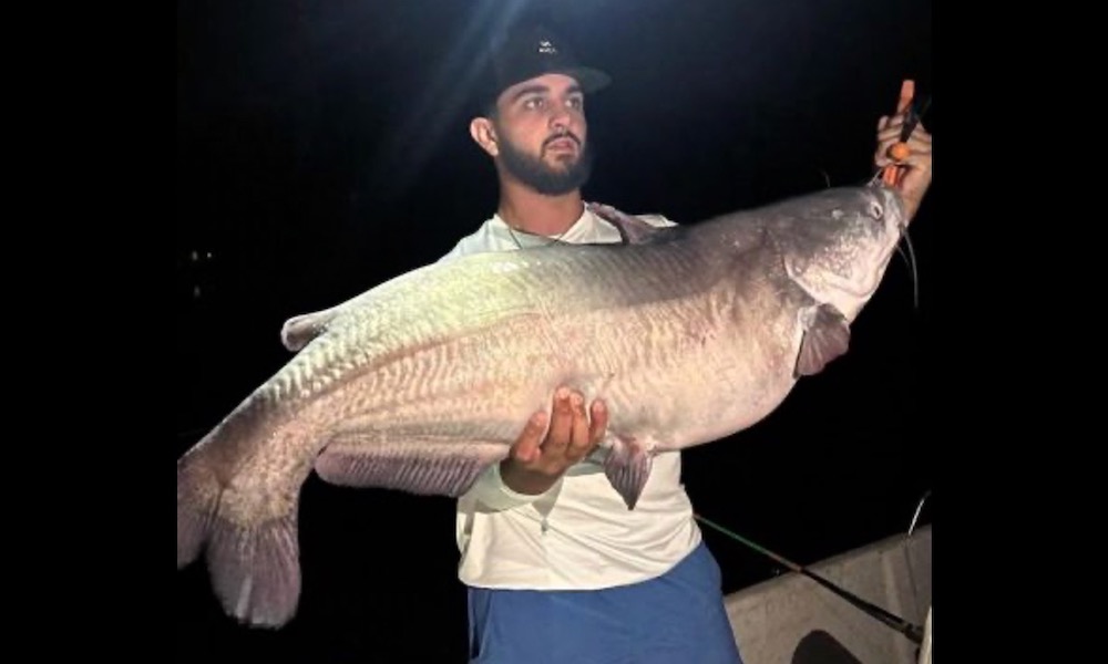 Fisherman using smaller net than usual lands state-record catfish