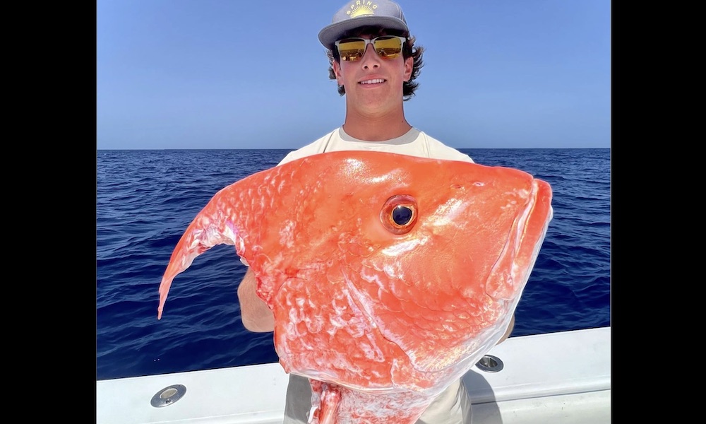 Potential world-record snapper succumbs to ‘tax man’