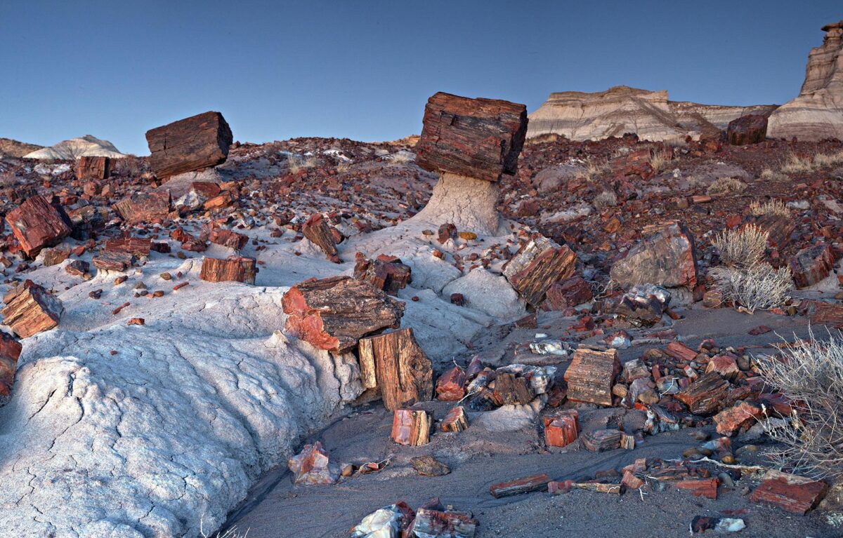Explore the oddly beautiful sights at Petrified Forest National Park