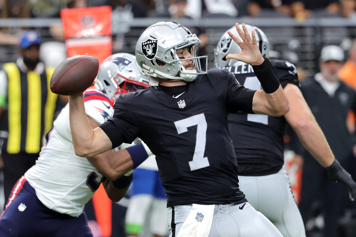 Former Michigan State football QB Brian Hoyer comes in relief to lead Raiders to win