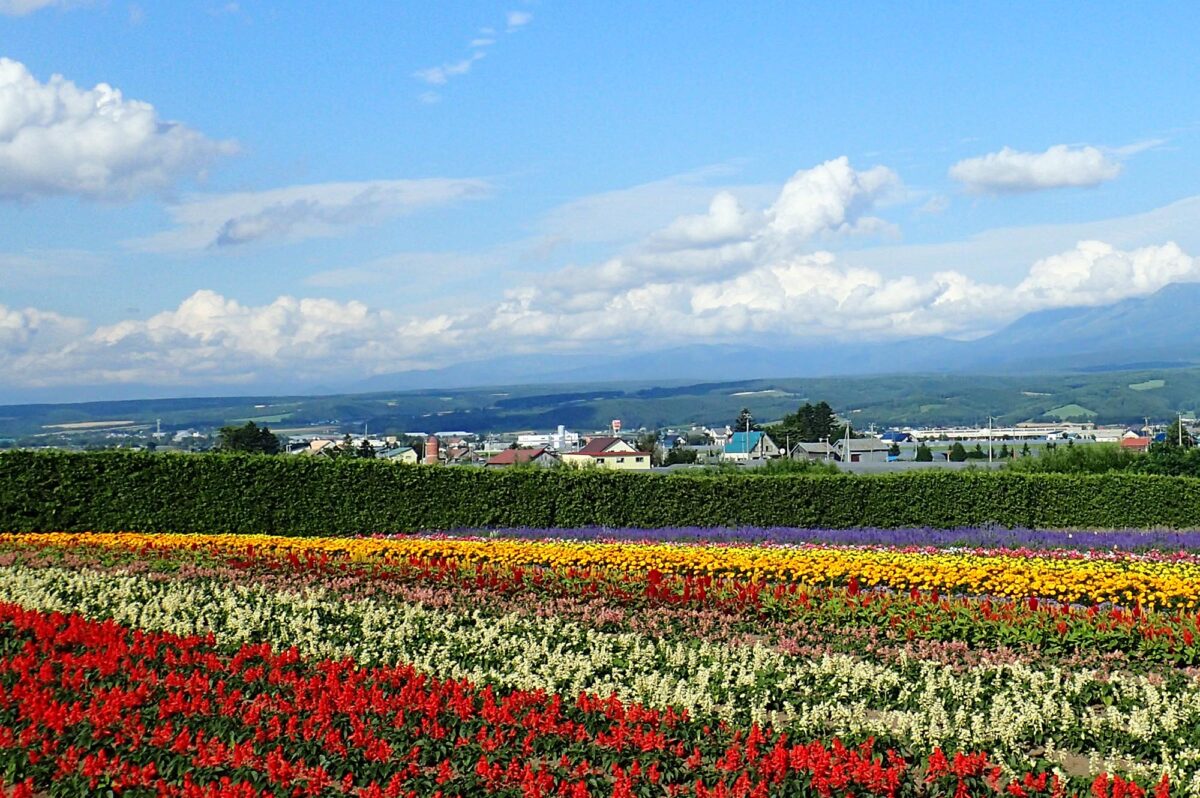 10 outdoorsy things to do in Hokkaido, Japan