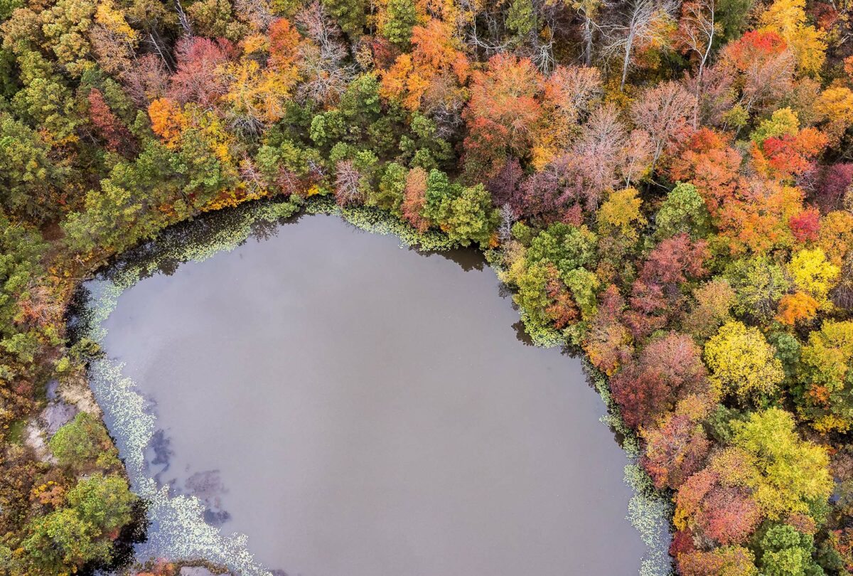These swamp tours will give you a new perspective on fall