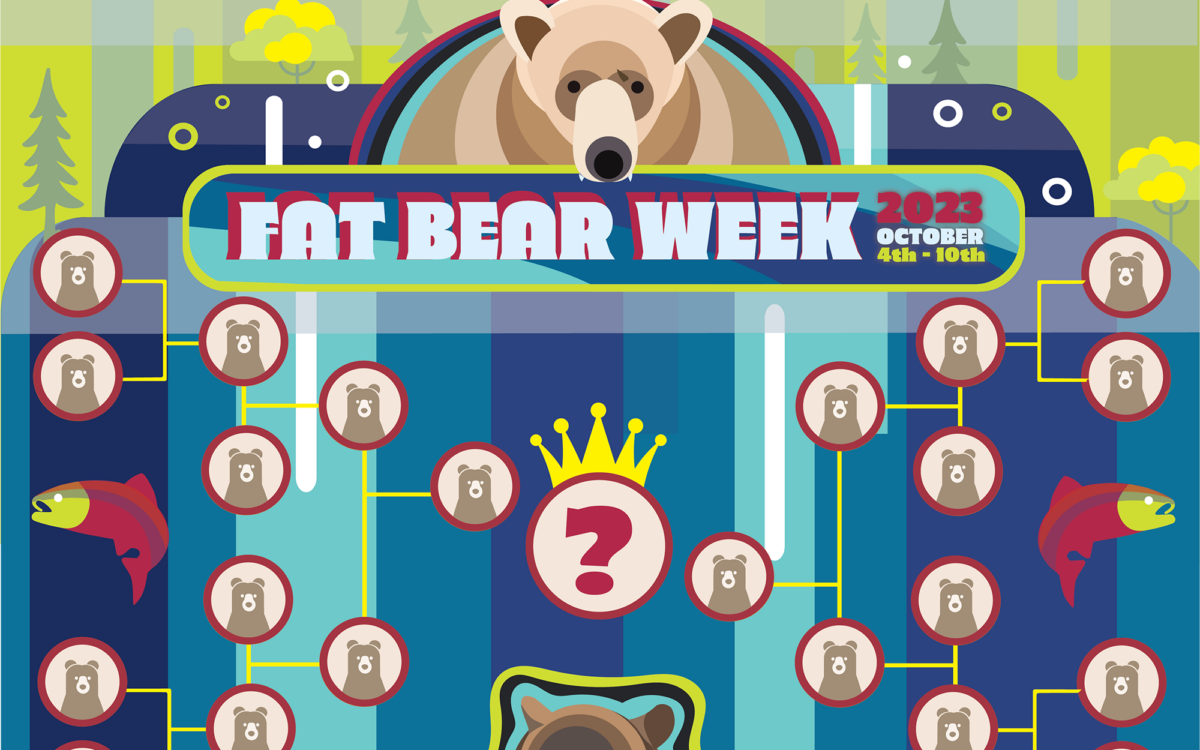 Here are the answers to all your Fat Bear Week questions