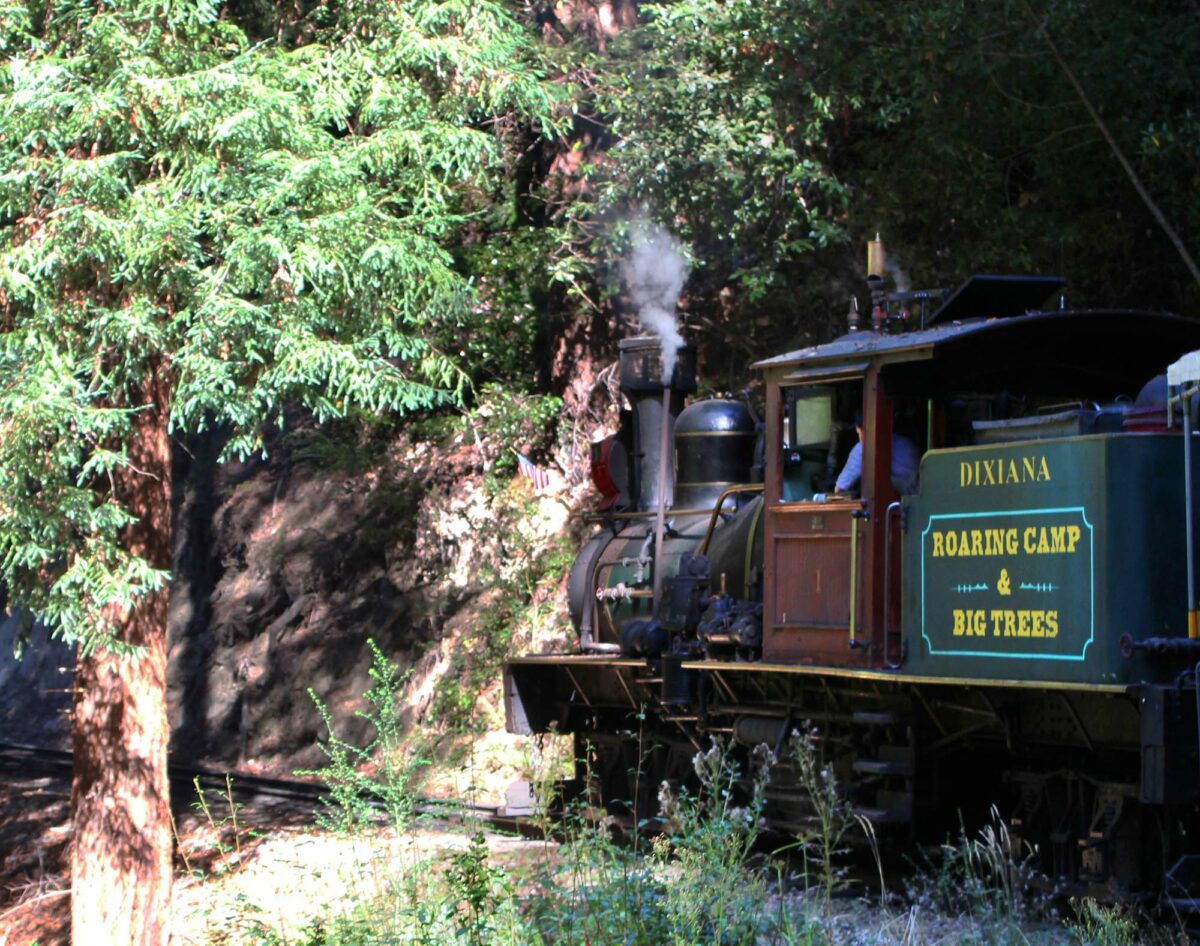 Ride through a redwood forest on this charming train ride