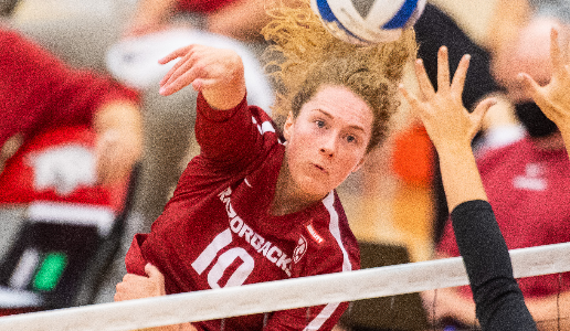 No. 10 Arkansas volleyball splits pair on road with Top 20 teams