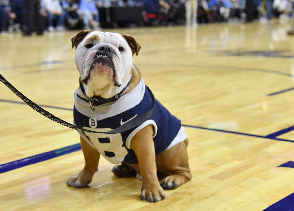 10 all-time greatest dog mascots in college sports