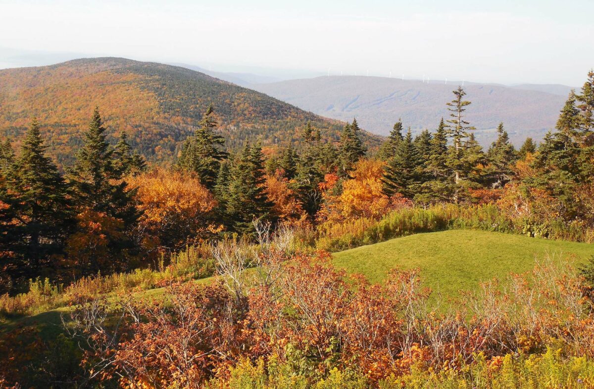 Where to find the best fall views in all 50 states
