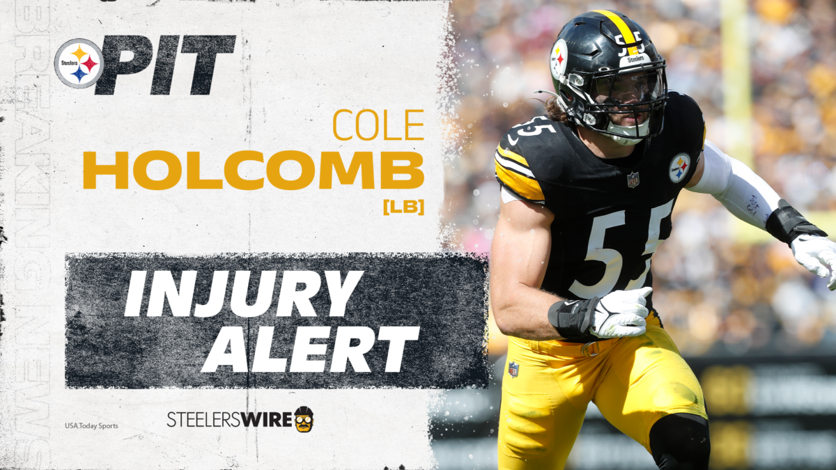 Steelers LB Cole Holcomb carted off with leg injury