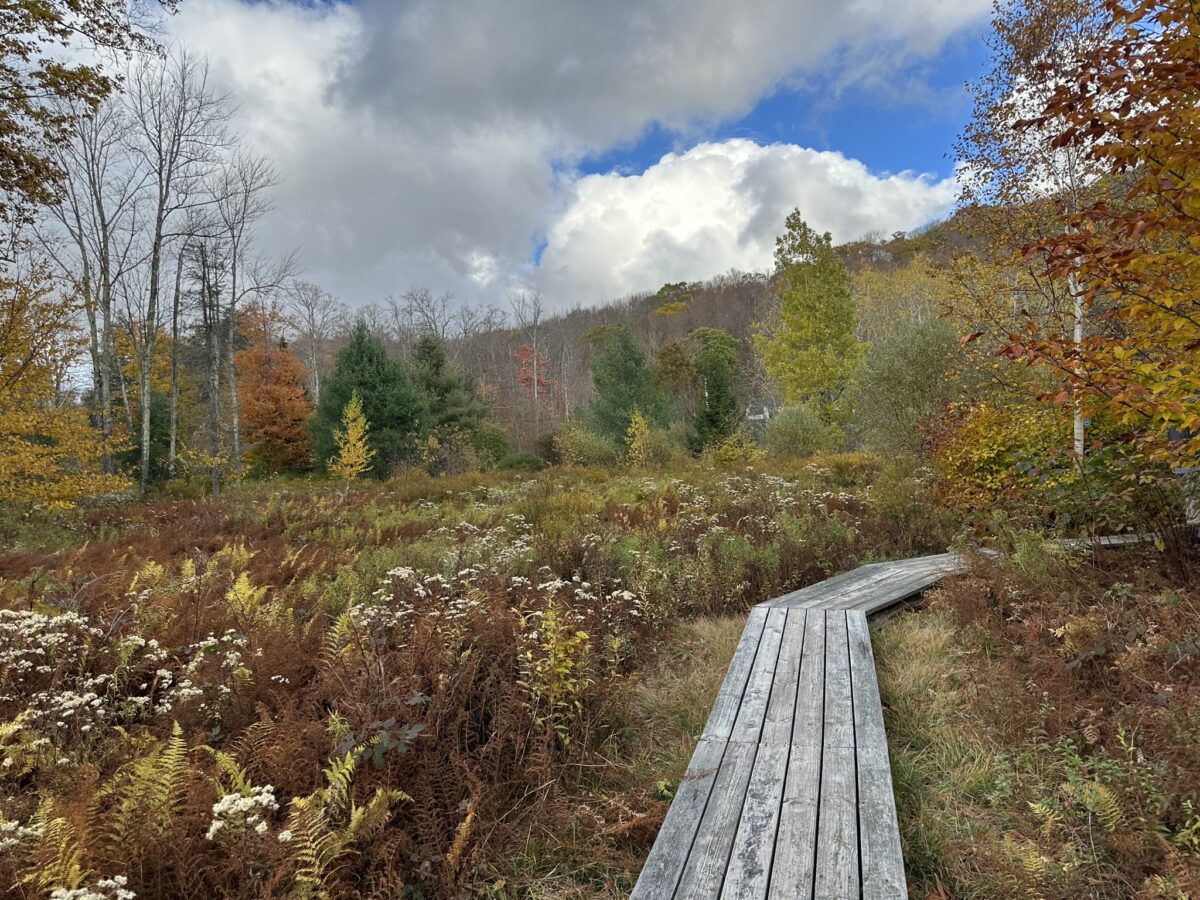 You can see a new side of the Catskills at Mountain Top Arboretum