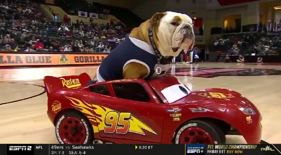 Butler Blue the bulldog rolled into his team’s Thanksgiving game on Lightning McQueen