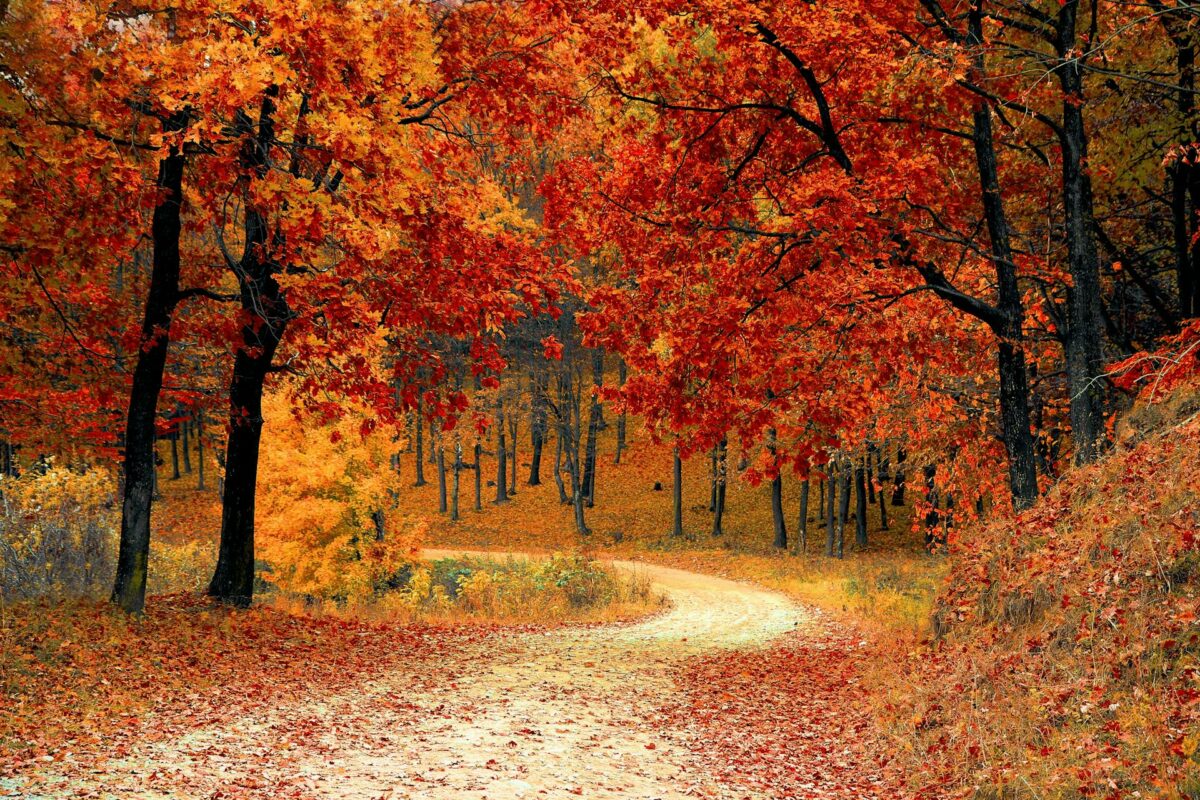 Get the most out of autumn with this fall travel guide