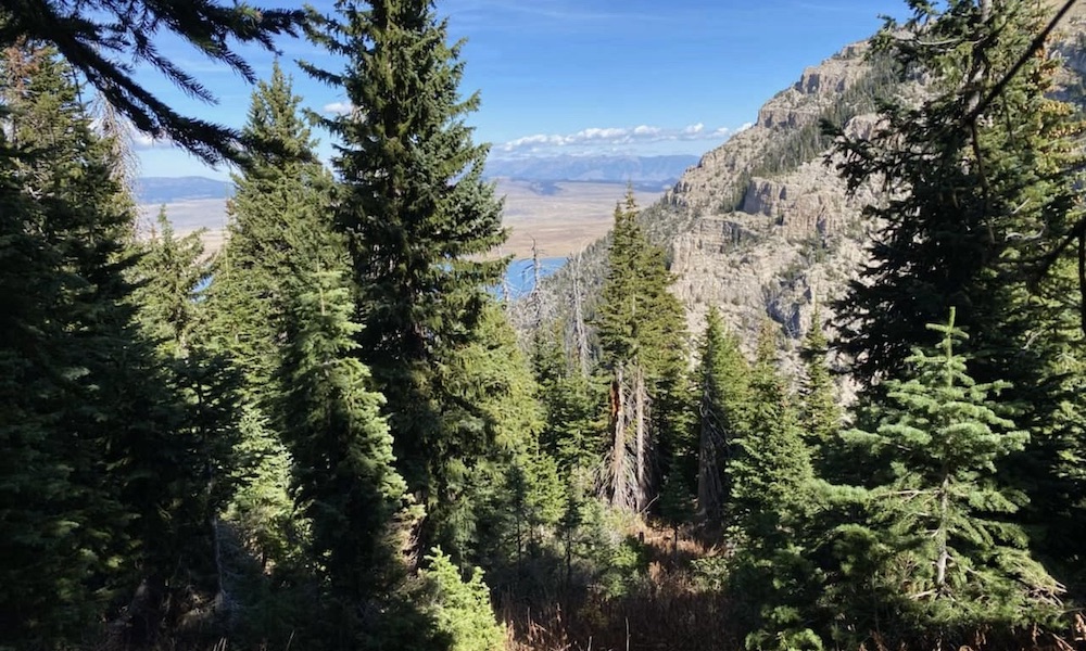Massive grizzly bear den site appears to be all about the view