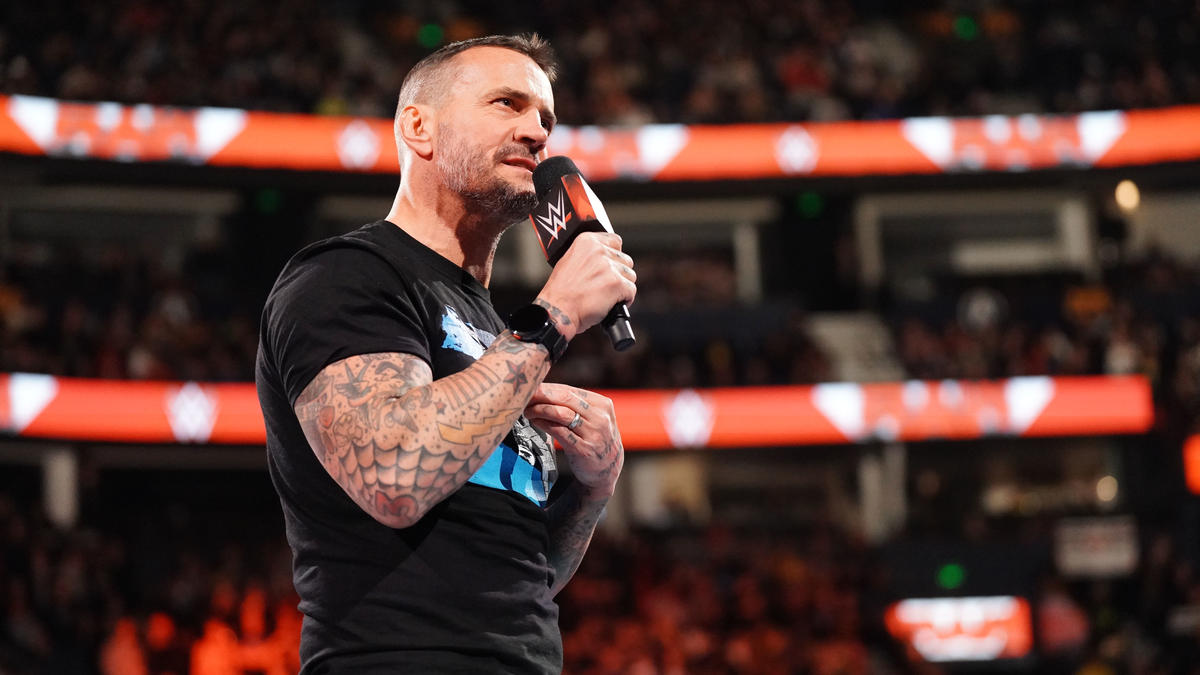 WWE supposedly already has CM Punk-Roman Reigns plans