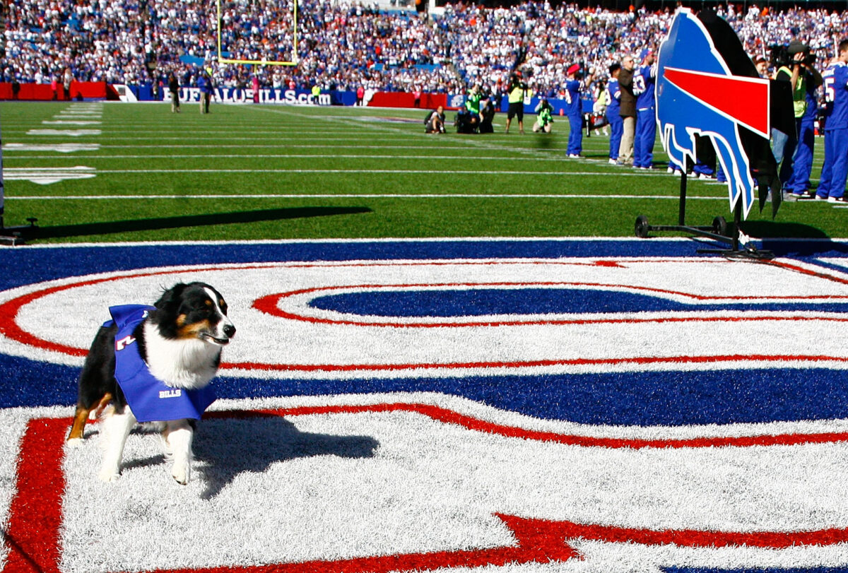 WATCH: Bills players answer which teammates they’d let watch their dog