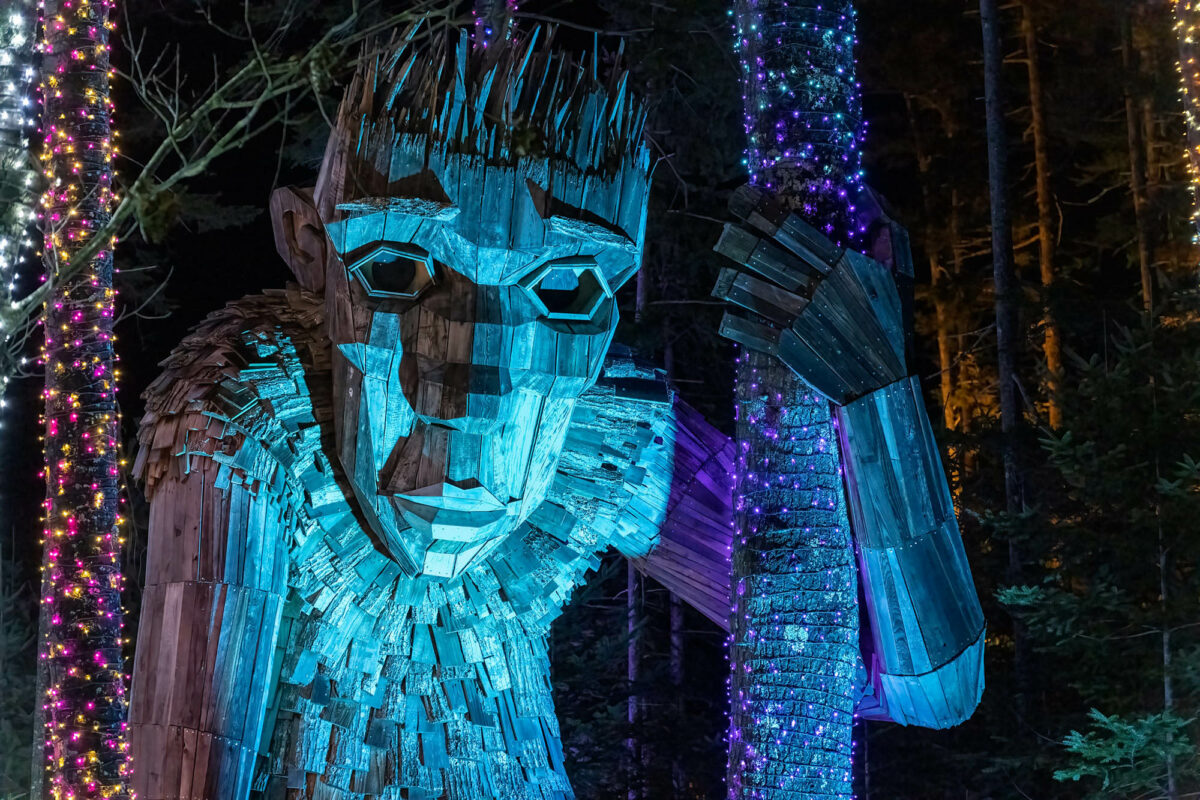5 botanical gardens to visit this winter for charming holiday lights