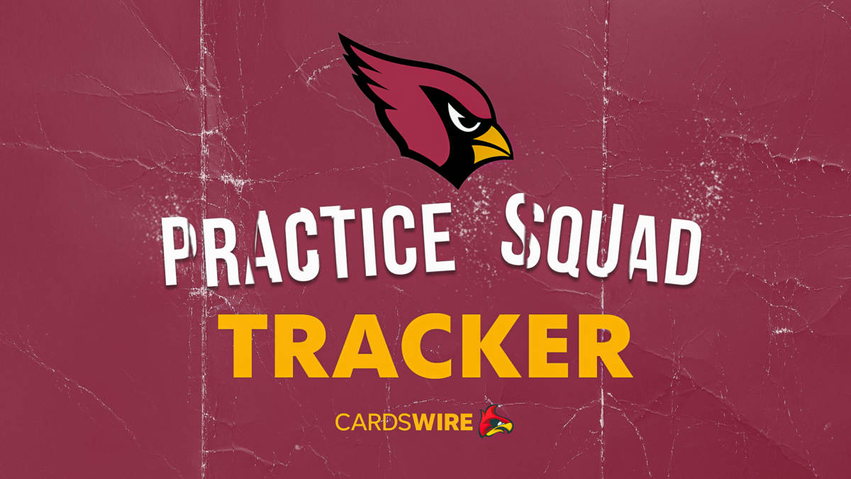 Cardinals add TE to practice squad