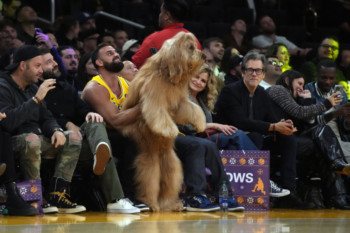 A giant, famous dog sat courtside at the Lakers game next to Kevin Bacon and stole the show