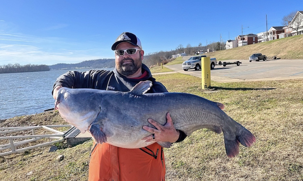 West Virginia blue catfish record falls again, keeping streak alive