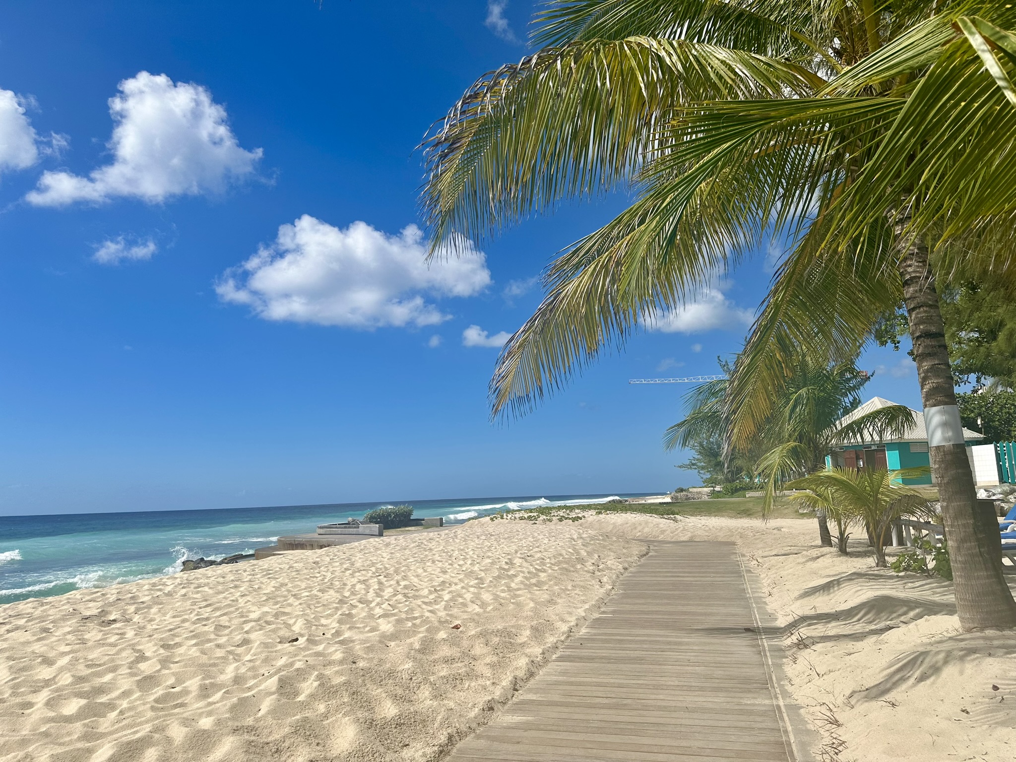 A boardwalk across a sandy beach in Barbados flanked by blue water and palm trees.