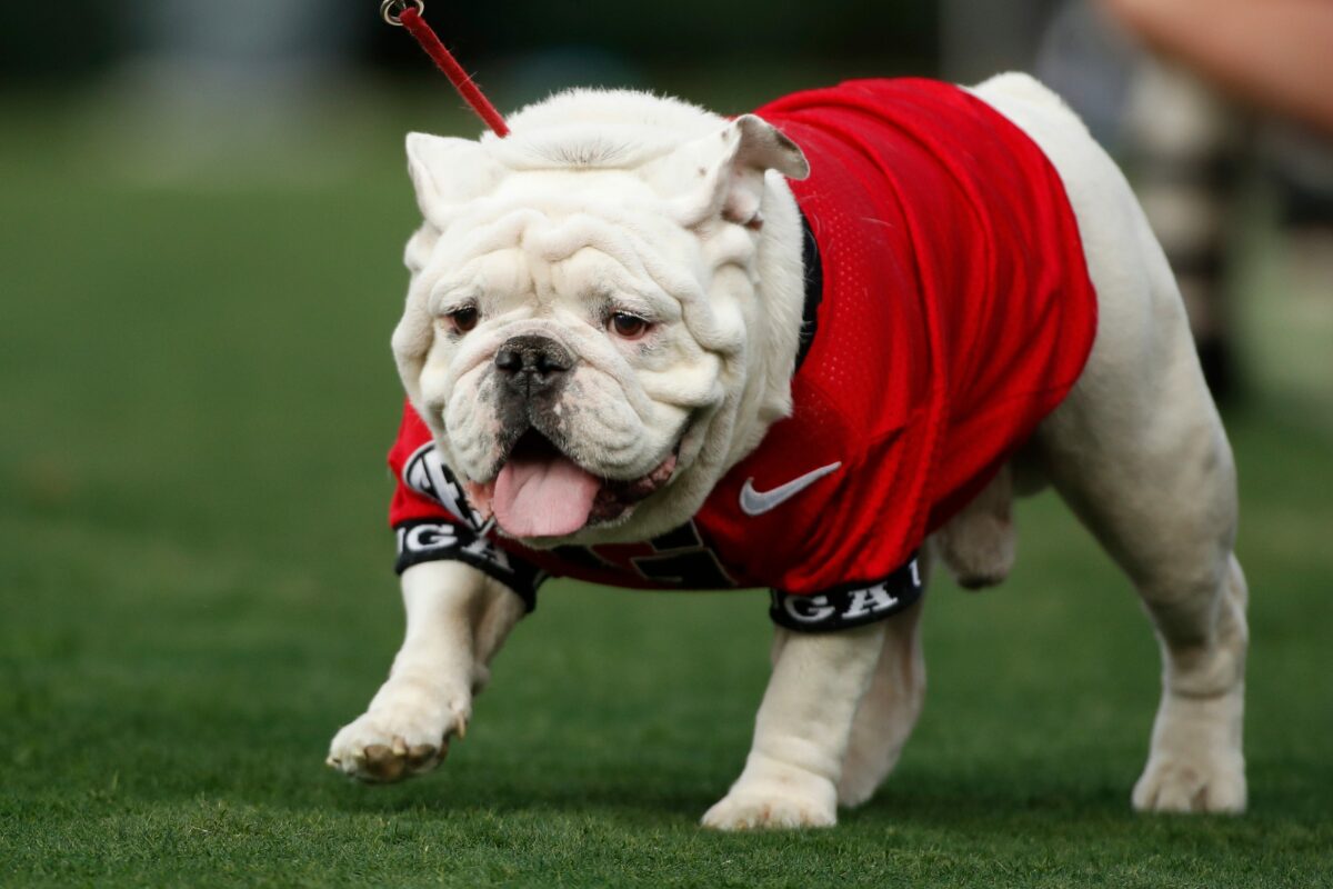 The college football world mourns the death of Georgia Bulldogs mascot Uga X