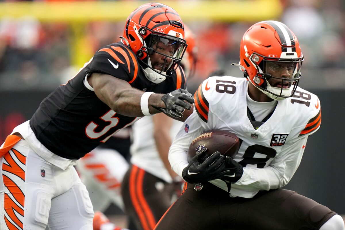 Browns get garbage time touchdown as Jeff Driskel finds David Bell deep vs. Bengals