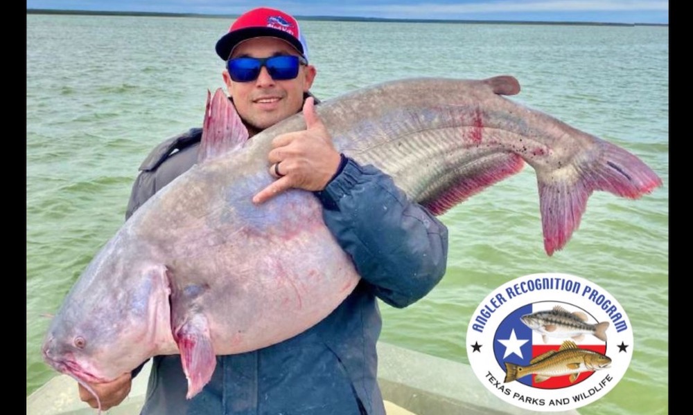 Fisherman earns several awards by catching a 62-pound catfish