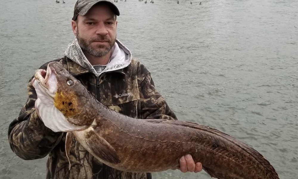 Lake Michigan serves up record burbot for Indiana angler