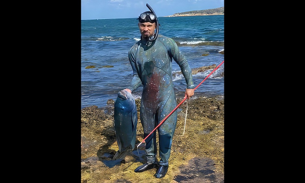 Spearfisherman fined for killing 40-year-old Gus, an iconic blue fish