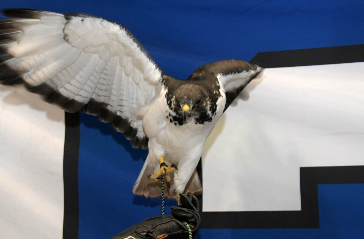 Jay Gruden pulls Seahawks mascot hawk into feud with RGIII