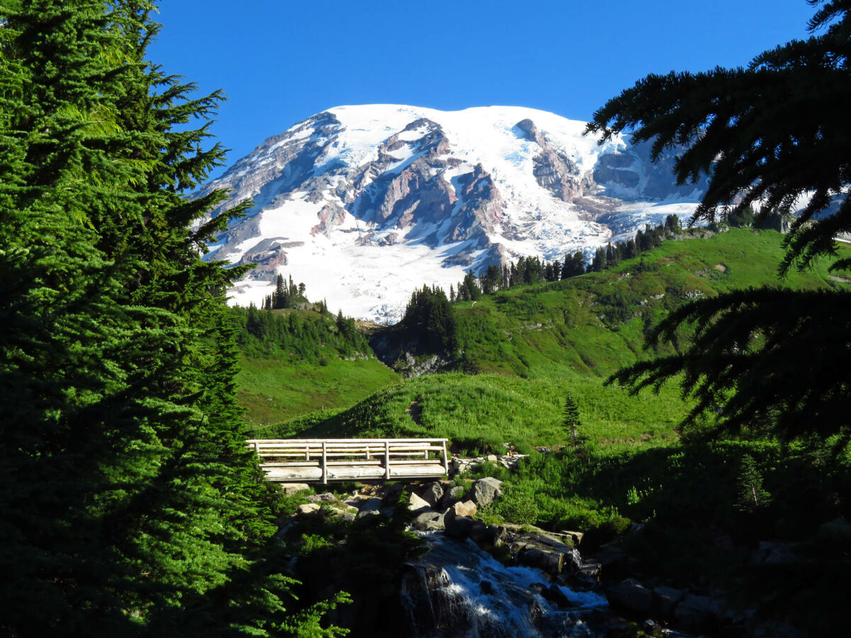 Can you handle trail running along Mount Rainier’s Skyline Loop?