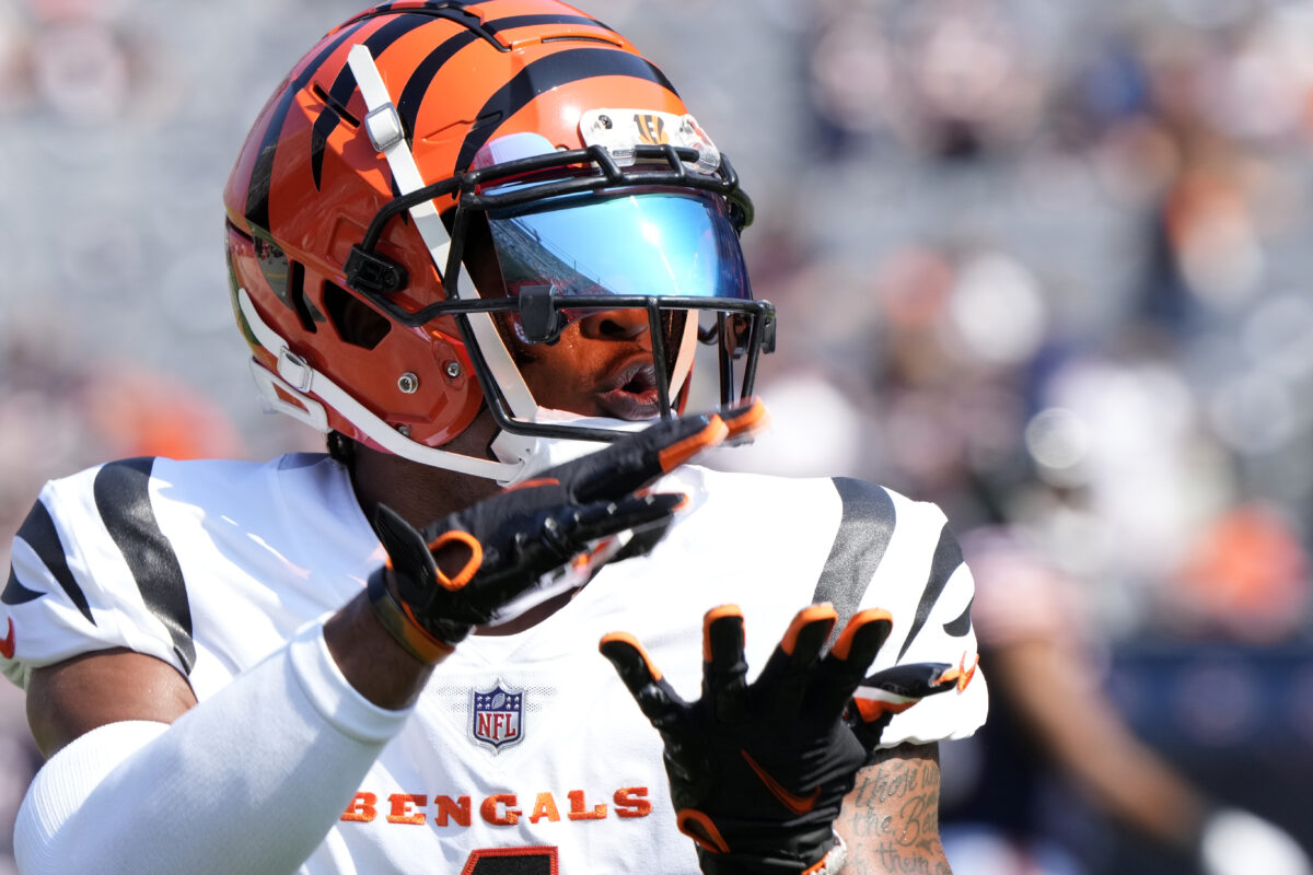 Former Bengals WR surfaces in CFL