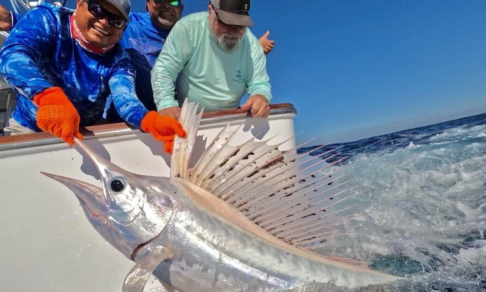 Rare white sailfish caught off Guatemala; ‘One-in-a-million’
