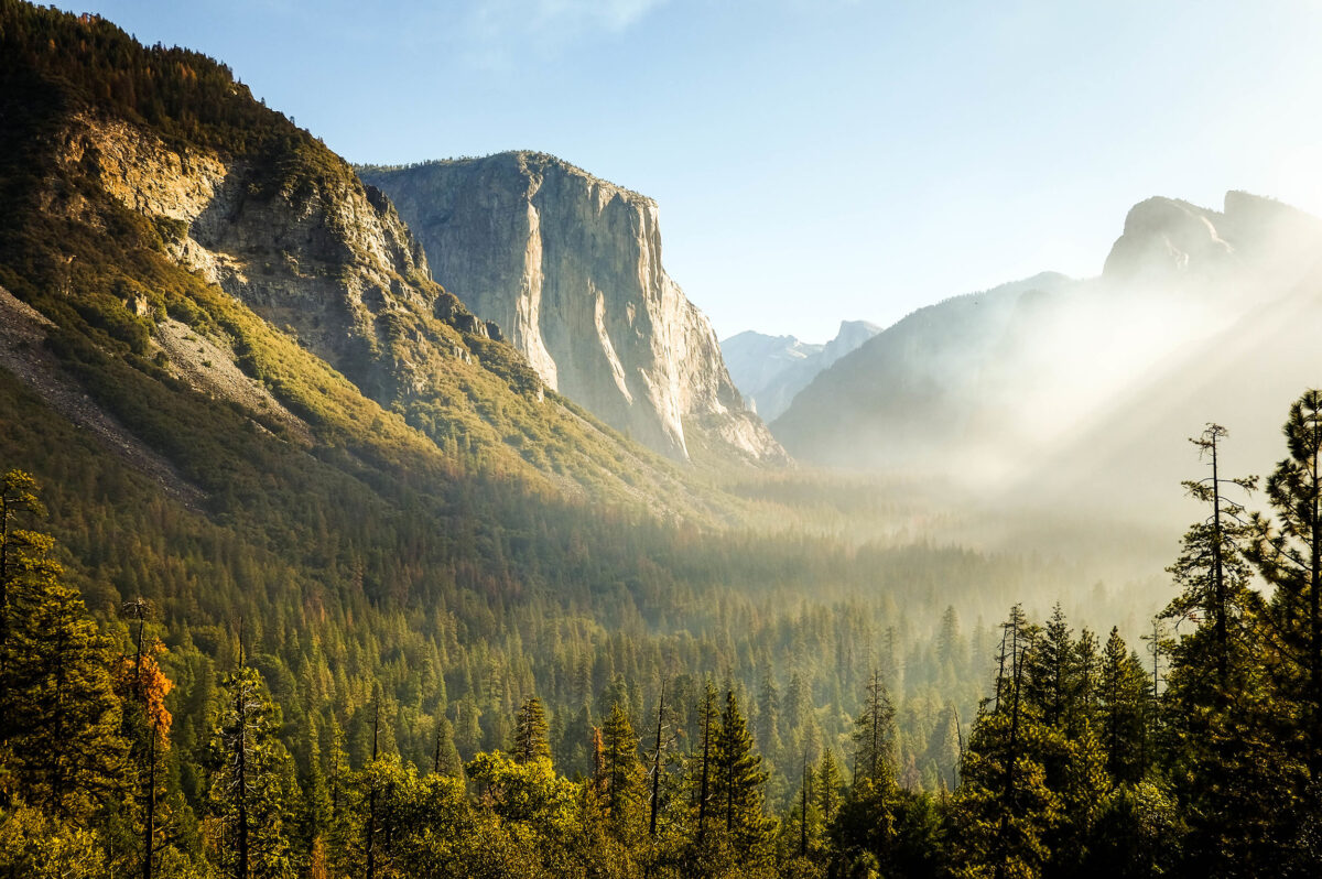 Your Yosemite National Park questions, answered