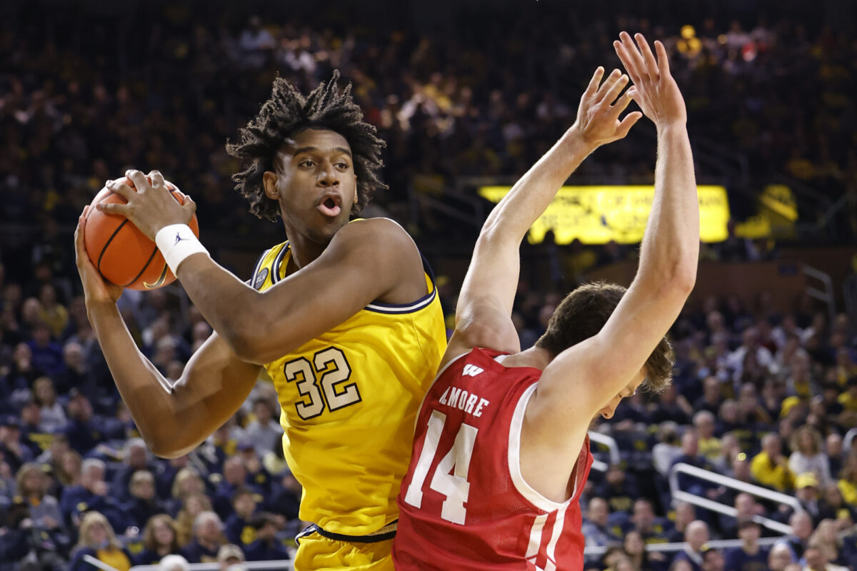 Michigan basketball loses another big player to the transfer portal