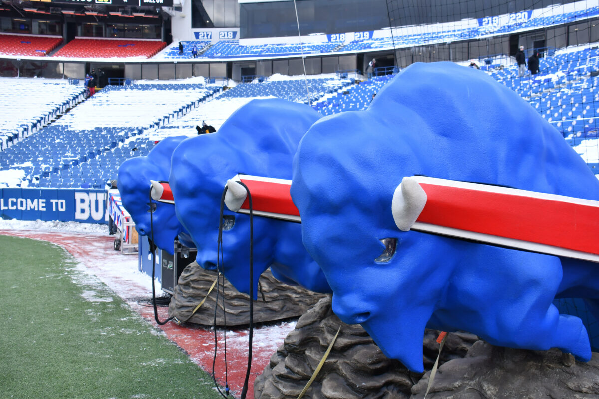 WATCH: Behind the scenes of bison statue selection outside new Highmark Stadium