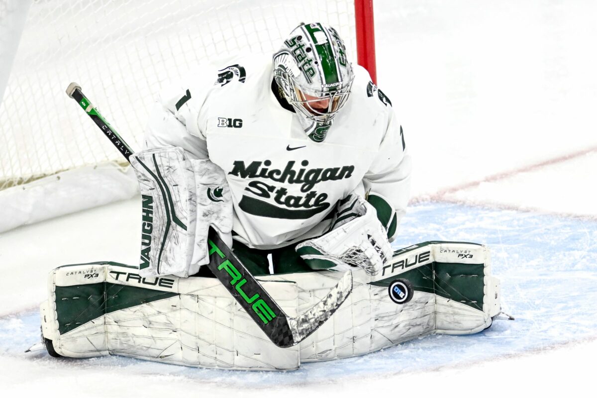 Two Michigan State hockey players honored with All-Big Ten selections