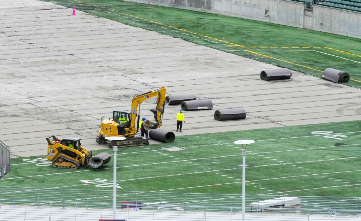 Bengals begin construction on new turf playing surface