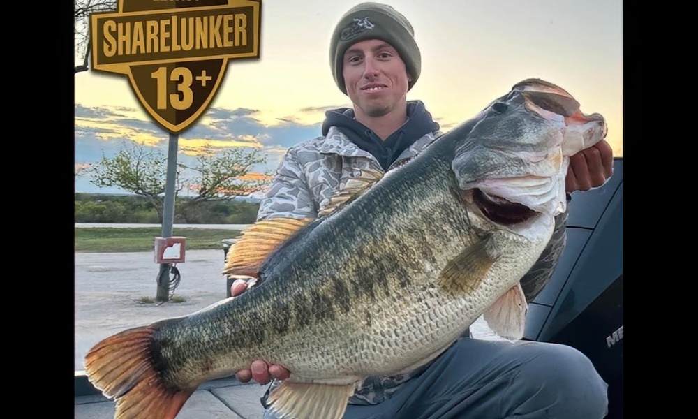Texas lake yields four monstrous bass in four days