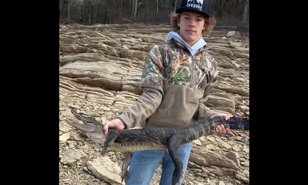 Tennessee bass angler lands alligator in rarest of catches