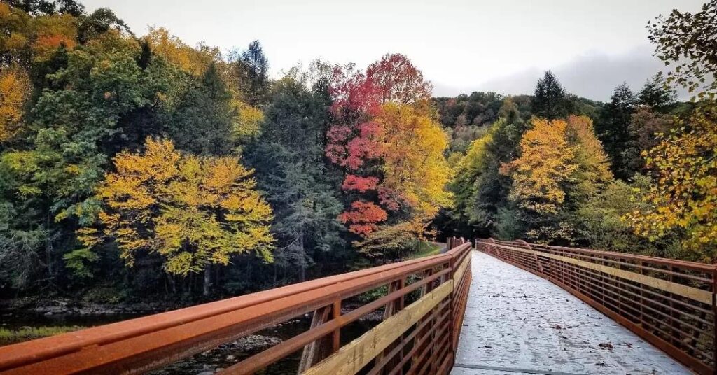 Go exploring on these 5 new rail trails across the US