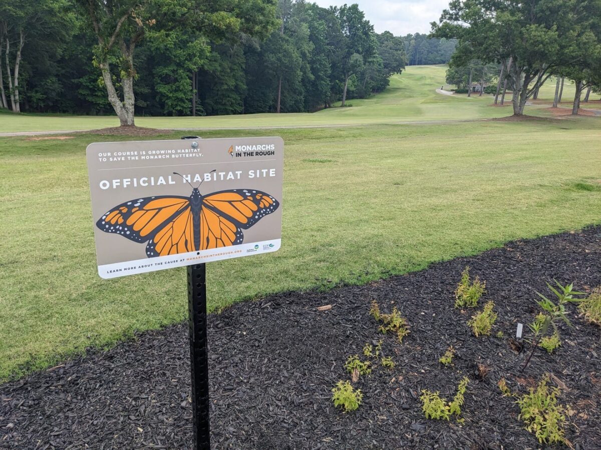 Georgia golf courses (even those not named Augusta National) are enhancing wildlife habitats