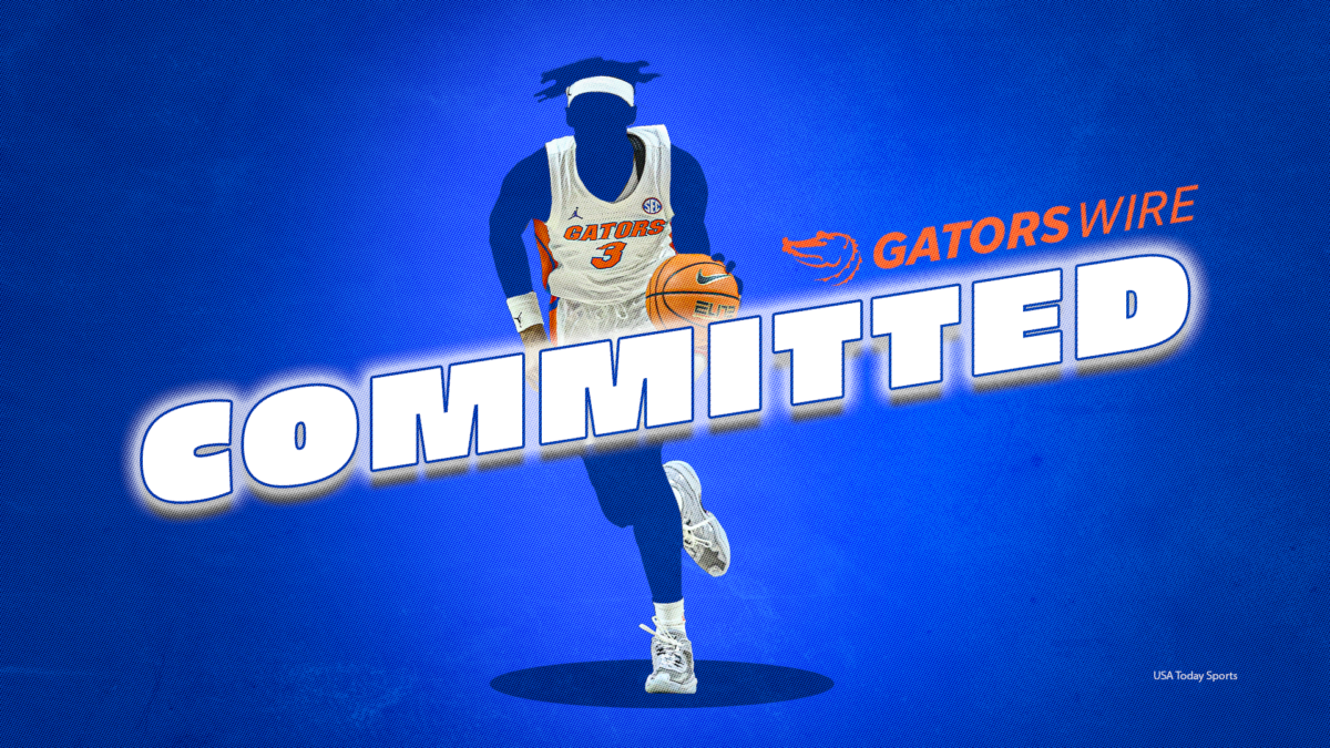 Florida lands Chattanooga forward from transfer portal
